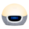 Bodyclock Shine 300
