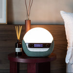 Bodyclock Luxe 750DAB