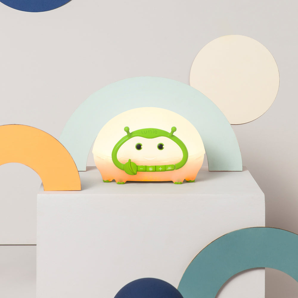 Bedbug Refurbished