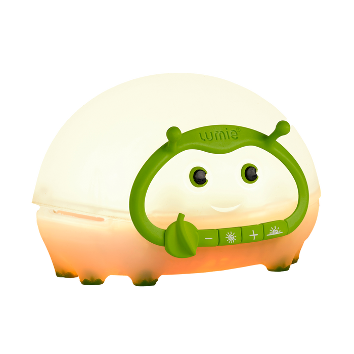 Bedbug Refurbished