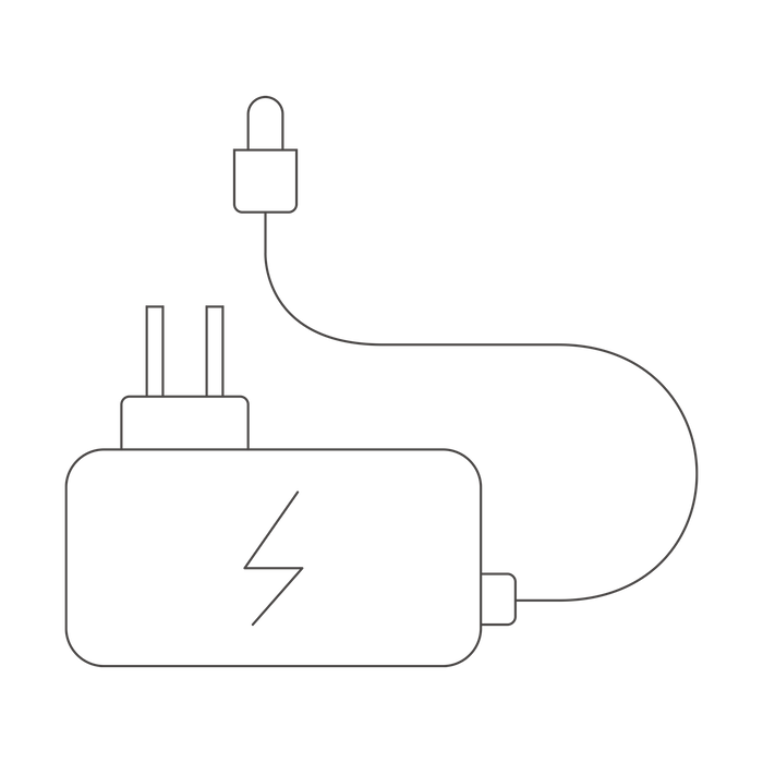 Bedbug mains power adaptor