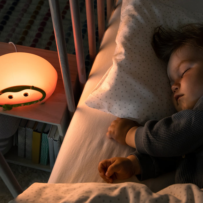 Bedbug Refurbished